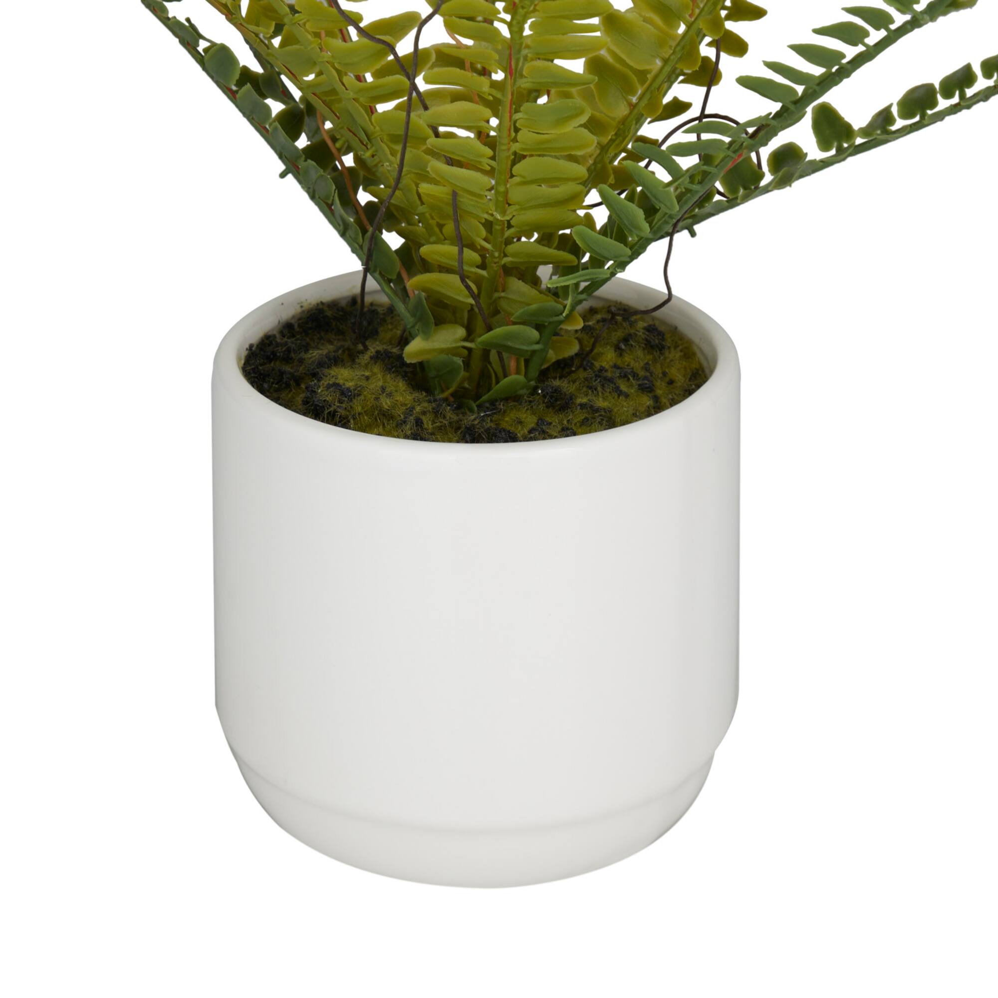 Green Ceramic Contemporary Artificial Foliage, 12" x 15" x 10"